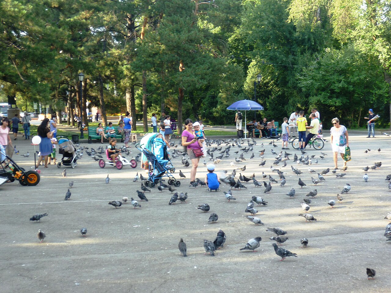 Families feeding pigeons in Almaty’s Park of 28 Panfilov Guardsmen, the kind of relaxed public space that surprises first-time visitors