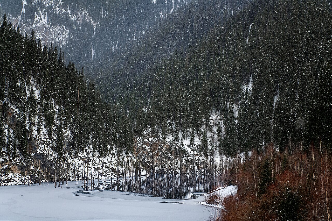 Snow falling over frozen Lake Kaindy and its sunken spruce forest in winter