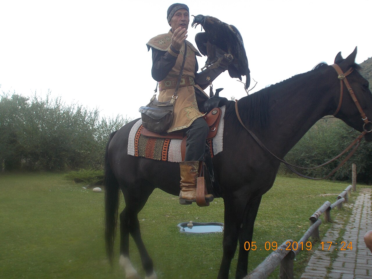 A berkutchi with a golden eagle on the glove at the Sunkar centre in the Almaty foothills